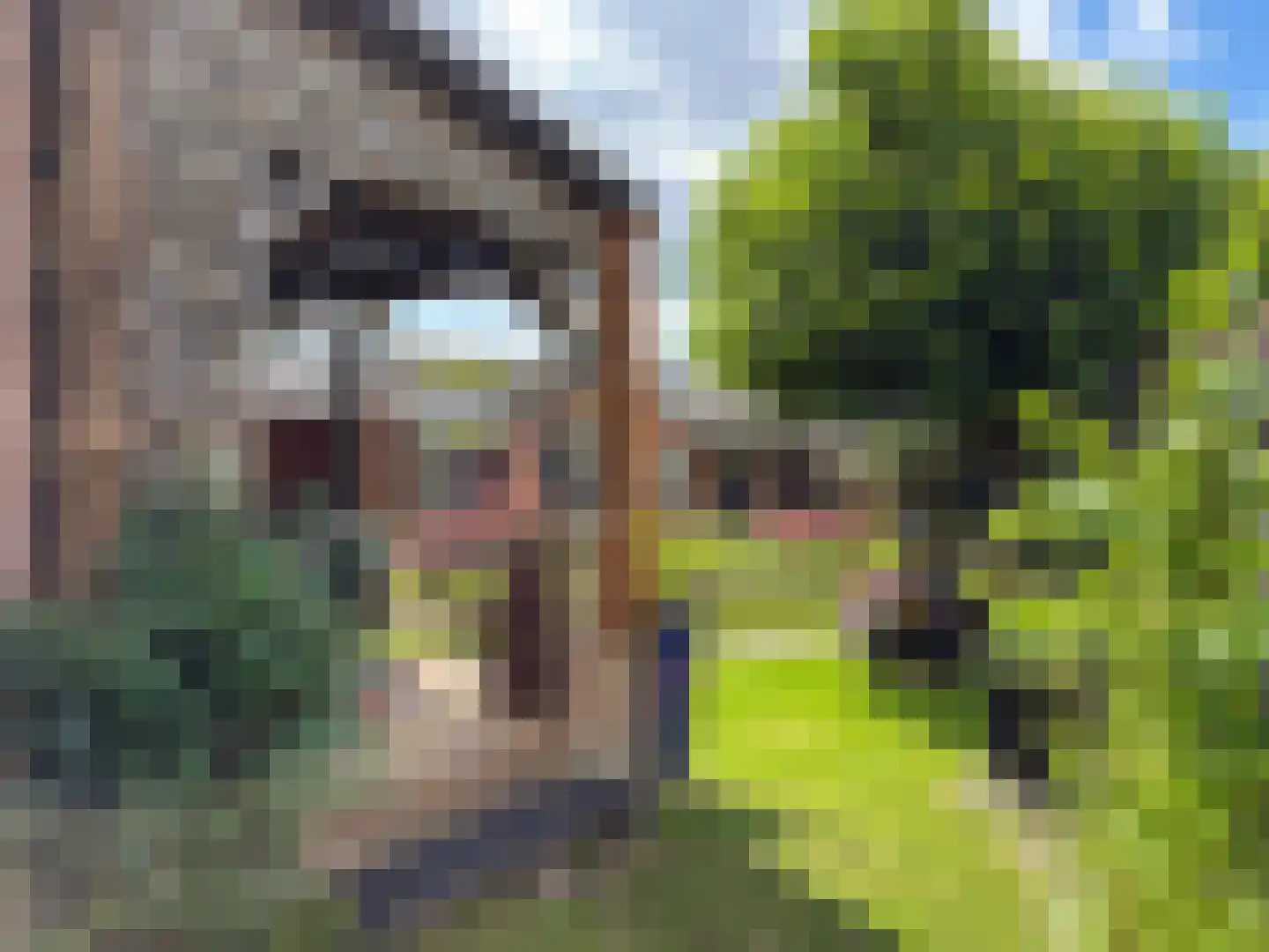 Burgemeester vd Boschlaan 23 Leersum thumbnail 23