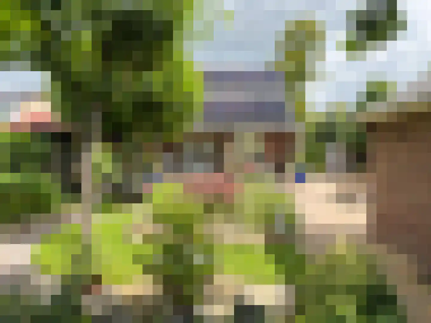 Burgemeester vd Boschlaan 23 Leersum foto 3