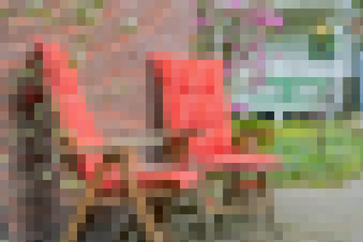 Burgemeester vd Boschlaan 42 Leersum thumbnail 51