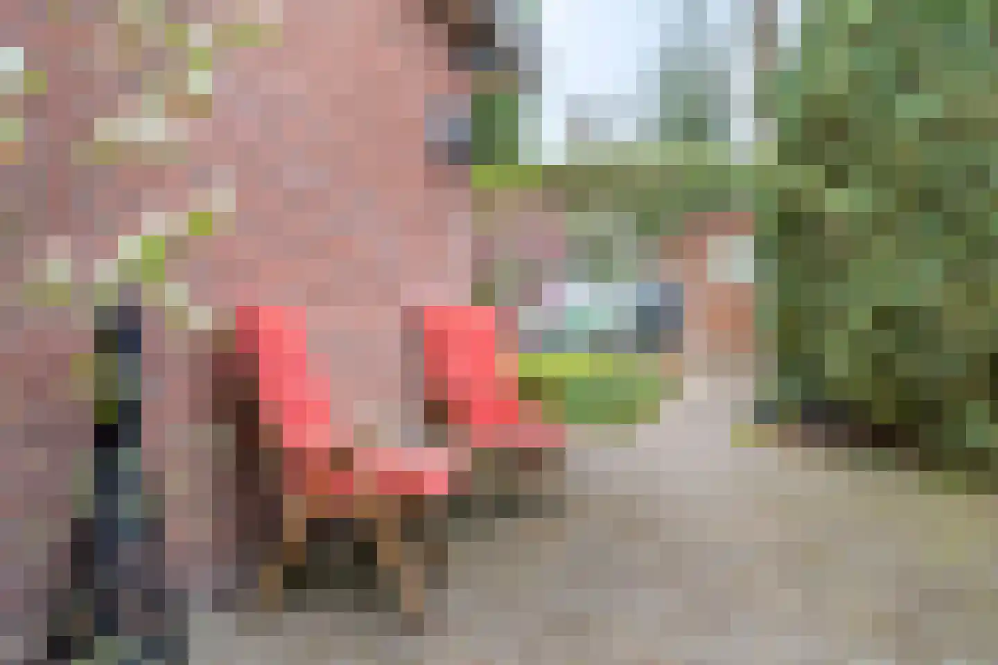 Burgemeester vd Boschlaan 42 Leersum thumbnail 53