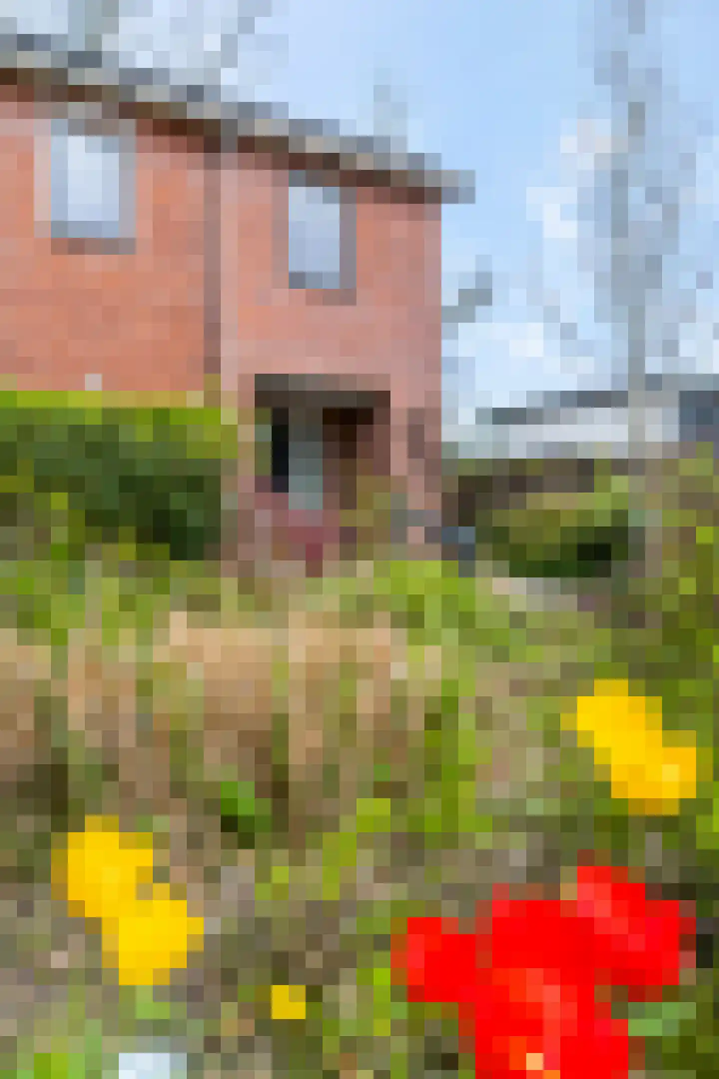 Burgemeester vd Boschlaan 42 Leersum thumbnail 59