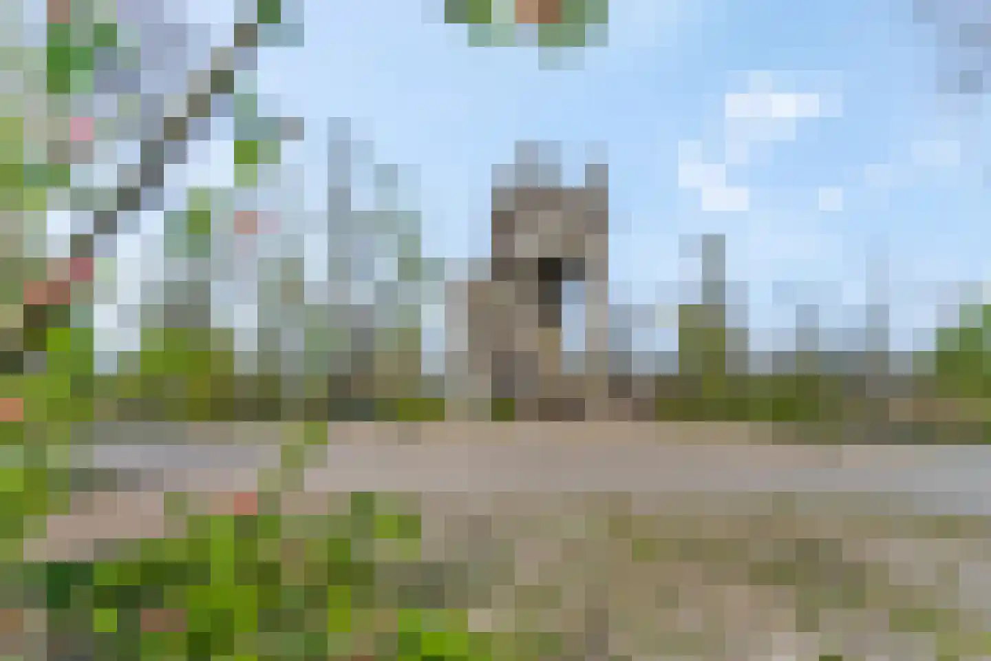 Burgemeester vd Boschlaan 42 Leersum thumbnail 69