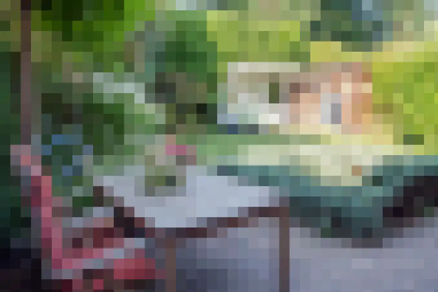 Burgemeester vd Boschlaan 42 Leersum thumbnail 73