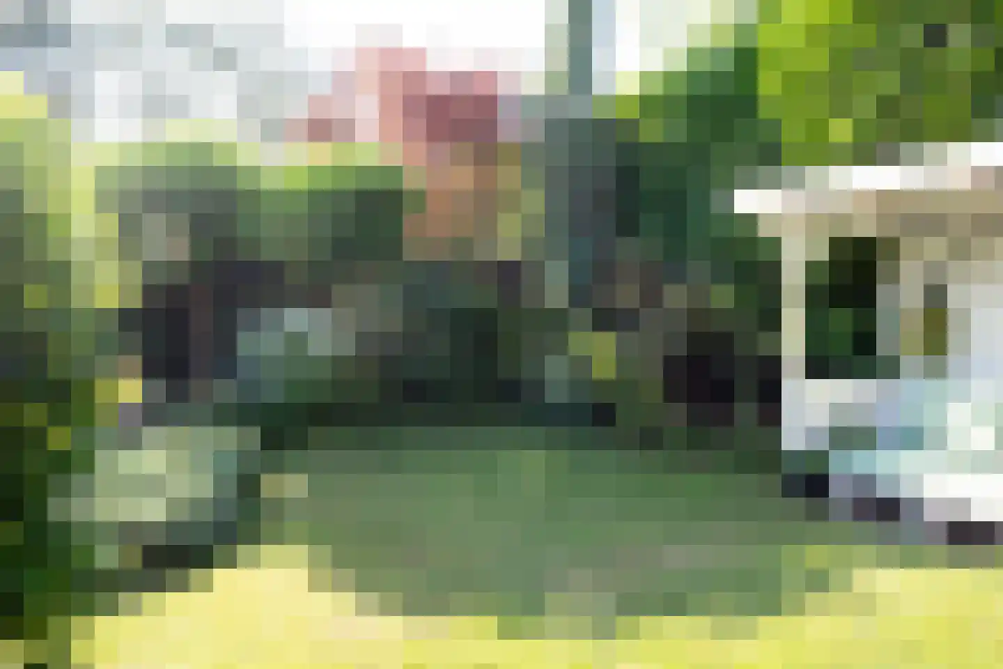 Burgemeester vd Boschlaan 42 Leersum thumbnail 74