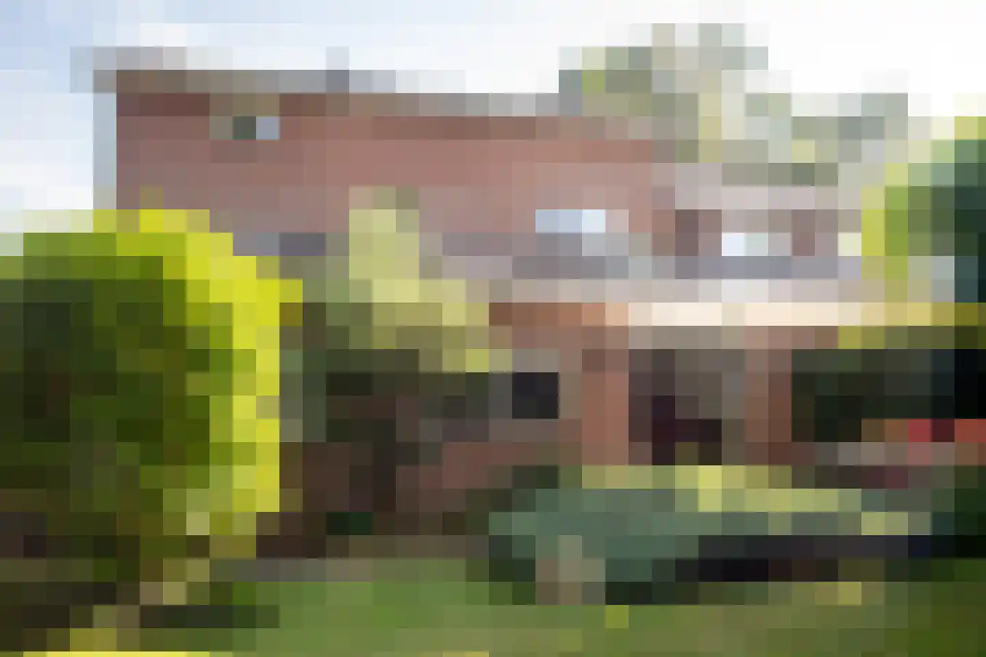 Burgemeester vd Boschlaan 42 Leersum thumbnail 75