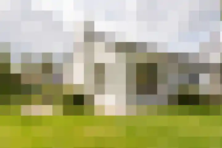 Burgemeester vd Boschlaan 49 Leersum thumbnail 18