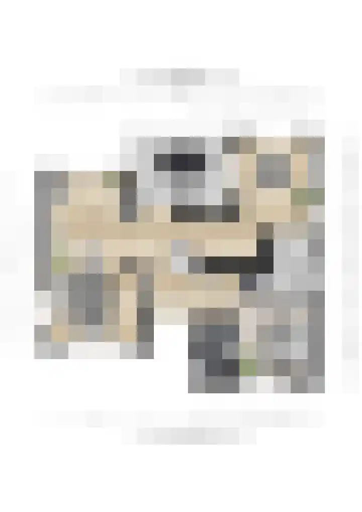 Burgemeester vd Boschlaan 49 Leersum thumbnail 22