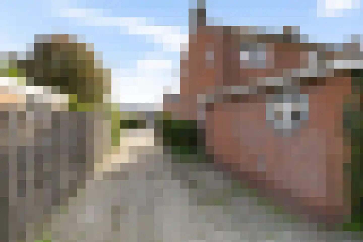 Burgemeester Venemastraat 2 Muntendam thumbnail 33