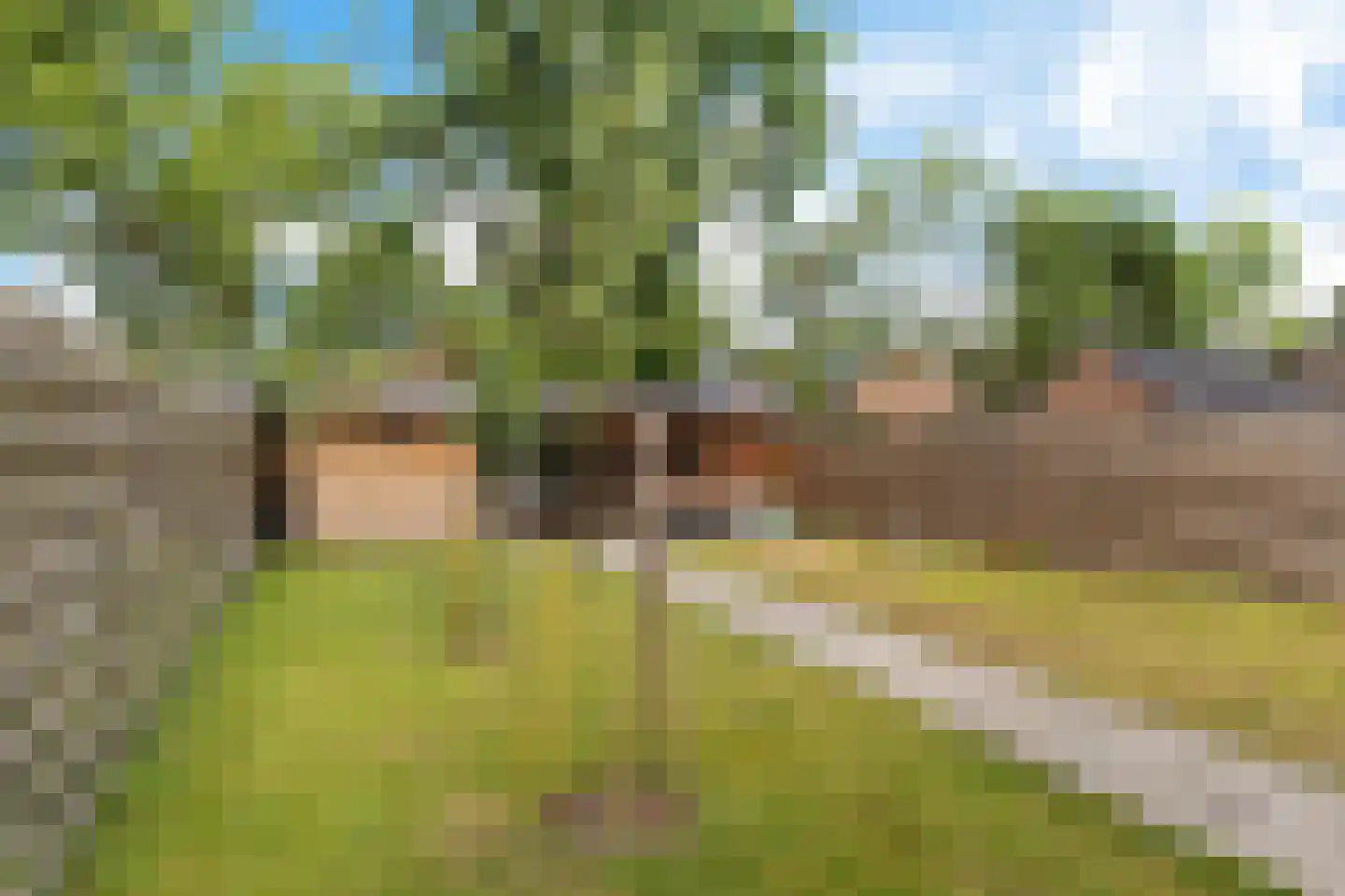 Burgemeester Venemastraat 30 Muntendam thumbnail 34