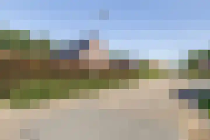 Burgemeester Venemastraat 46 A Meeden foto 3