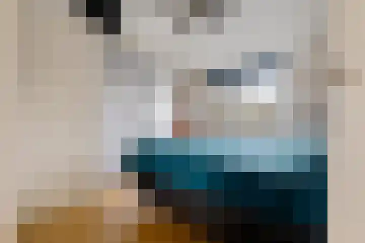 Burgemeester Venemastraat 6 Muntendam thumbnail 20