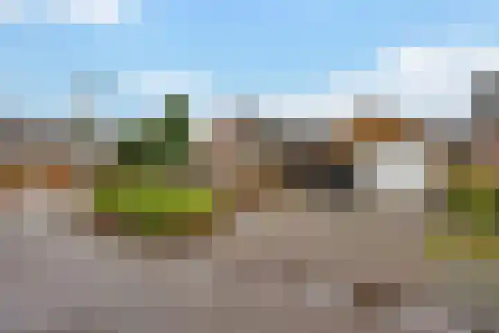 Burgemeester Venemastraat 6 Muntendam thumbnail 33