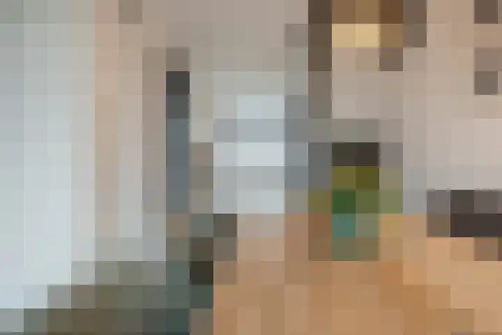 Burgemeester Verdaasdonkstraat 104 Teteringen thumbnail 10