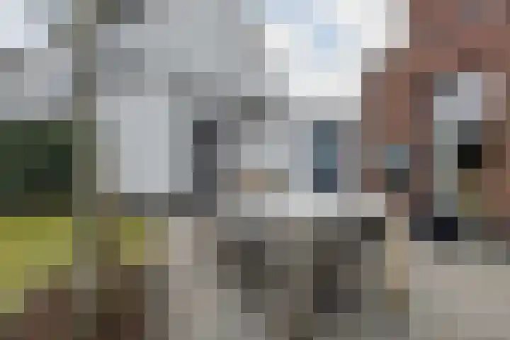 Burgemeester Verdaasdonkstraat 104 Teteringen thumbnail 38