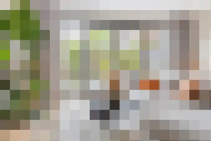Burgemeester Verdaasdonkstraat 39 Teteringen thumbnail 11