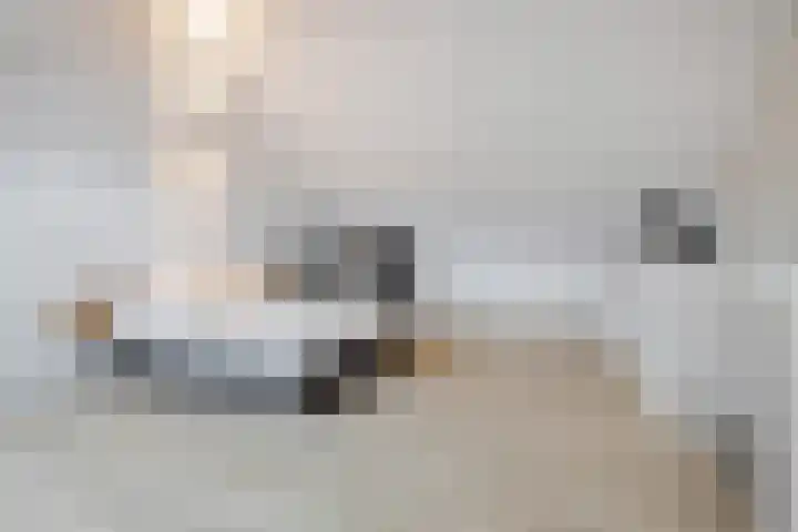 Burgemeester Verdaasdonkstraat 39 Teteringen thumbnail 31