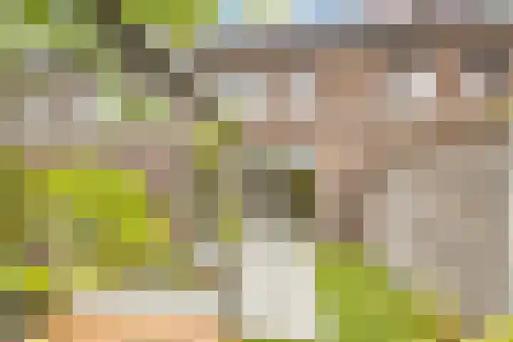 Burgemeester Verdaasdonkstraat 39 Teteringen thumbnail 33