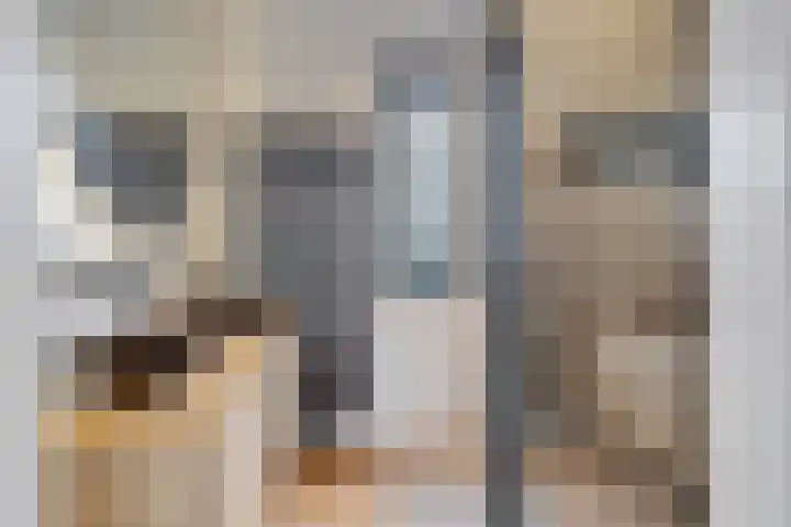 Burgemeester Verdaasdonkstraat 39 Teteringen thumbnail 4