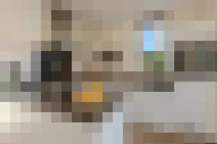 Burgemeester Verdaasdonkstraat 94 Teteringen thumbnail 12