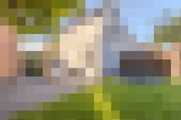 Burgemeester Verdaasdonkstraat 94 Teteringen thumbnail 34