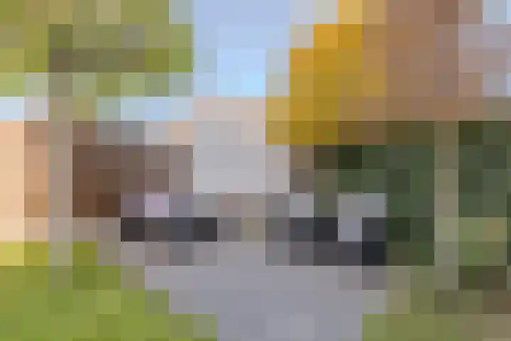 Burgemeester Verdaasdonkstraat 94 Teteringen thumbnail 35