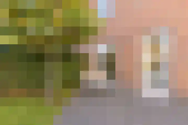 Burgemeester Verdaasdonkstraat 94 Teteringen thumbnail 38