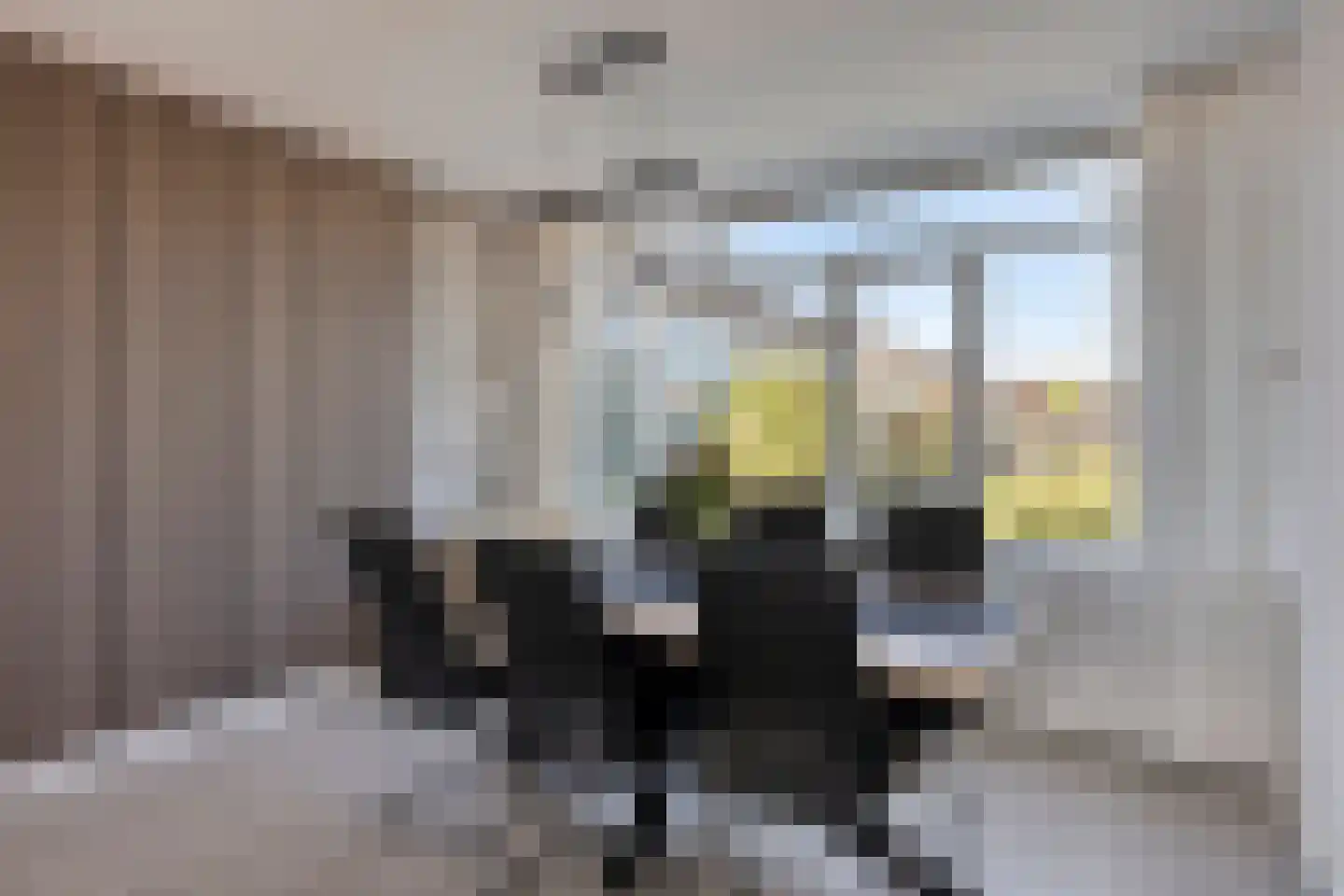 Burgemeester Verdegaallaan 32 Hedel thumbnail 14