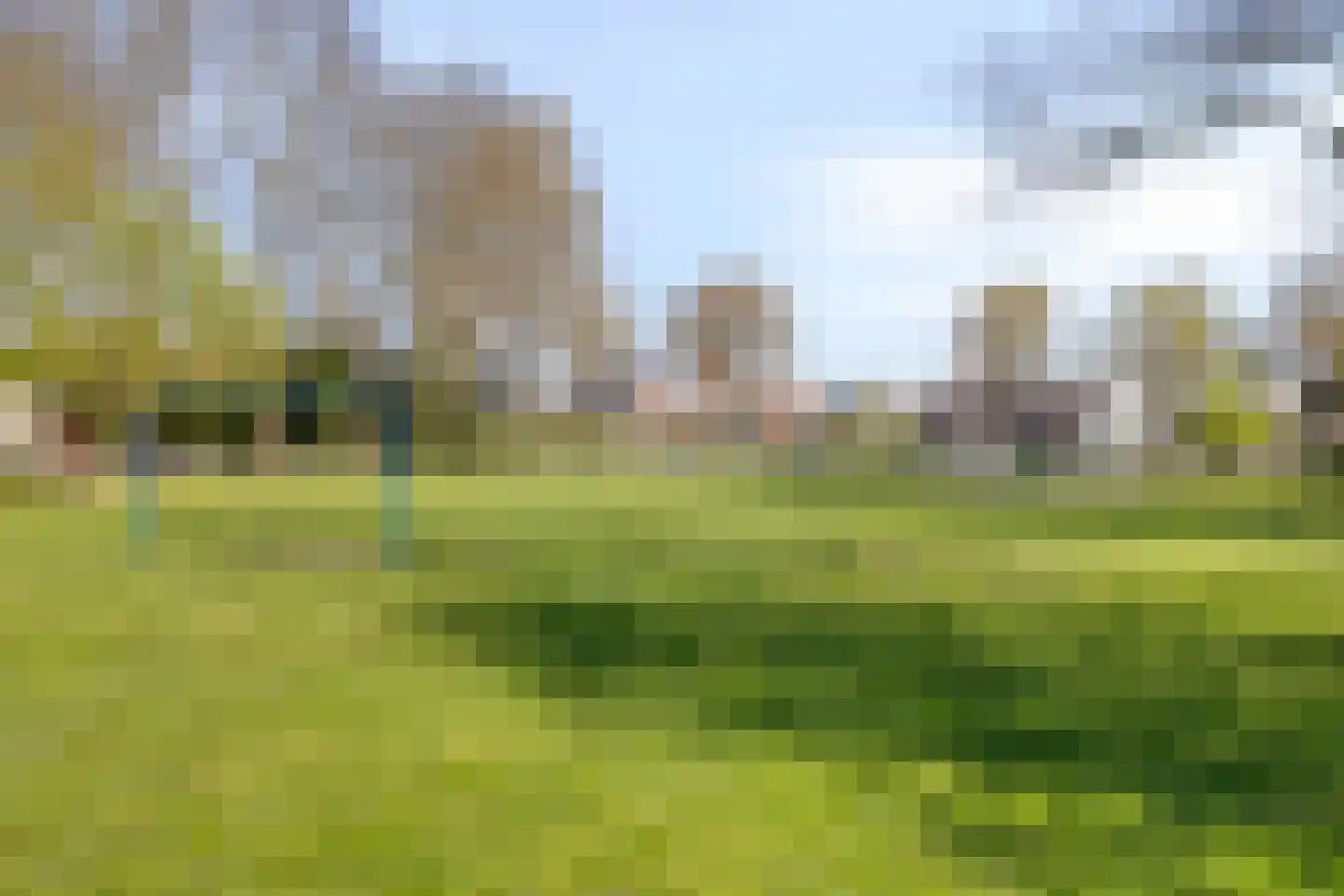 Burgemeester Verdegaallaan 32 Hedel thumbnail 38