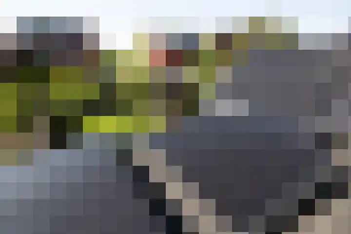 Burgemeester Verderlaan 16 Utrecht thumbnail 47