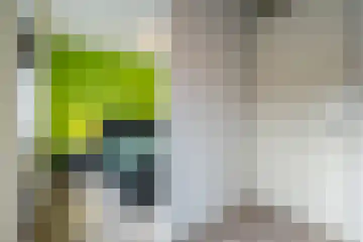 Burgemeester Verheijenstraat 13 Erp thumbnail 20