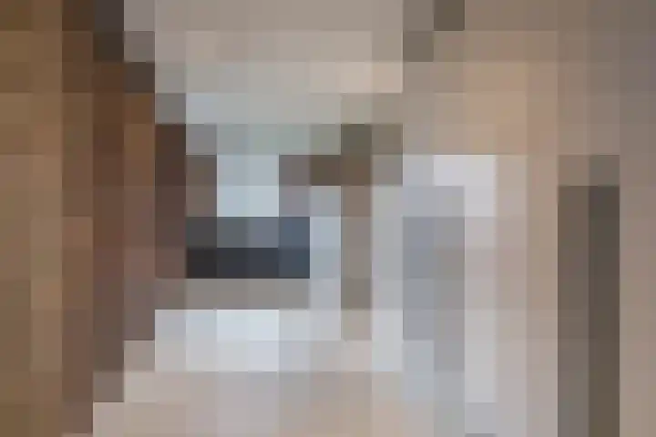 Burgemeester Verheijenstraat 13 Erp thumbnail 4