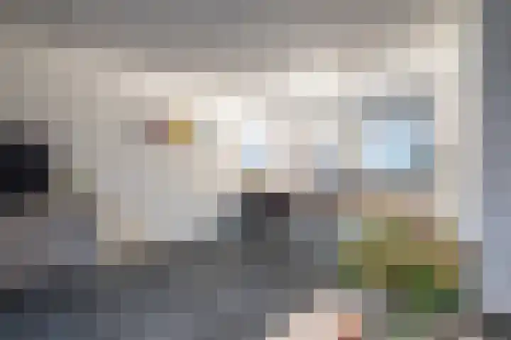 Burgemeester Verheijenstraat 13 Erp thumbnail 9