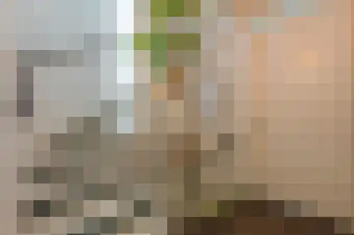 Burgemeester Verheijenstraat 3 Erp thumbnail 37
