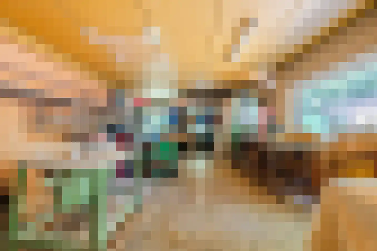 Burgemeester Verheugtstraat 49 Mierlo thumbnail 38