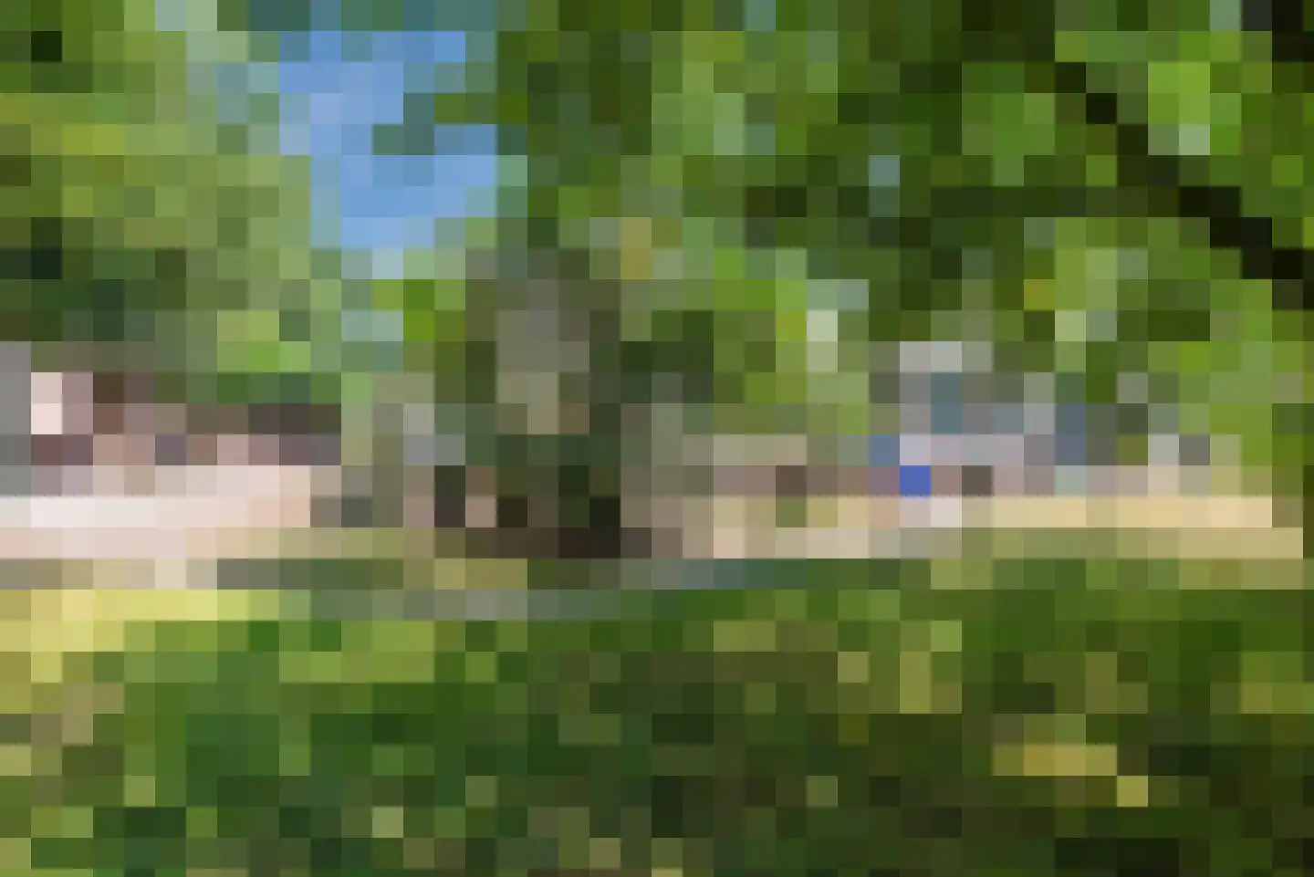 Burgemeester Verheugtstraat 49 Mierlo thumbnail 41