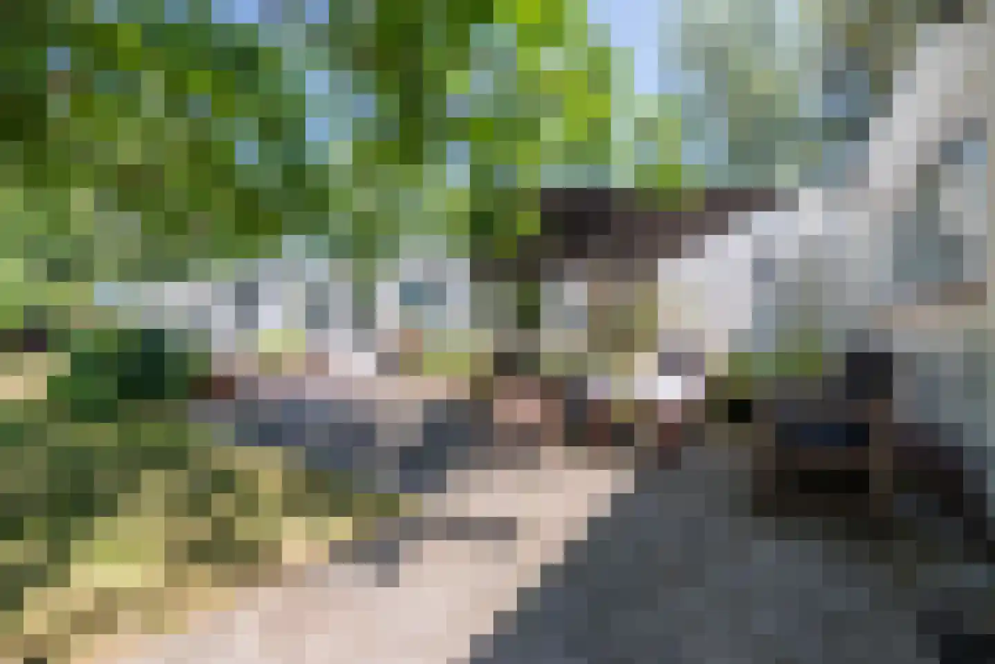 Burgemeester Verheugtstraat 49 Mierlo thumbnail 43