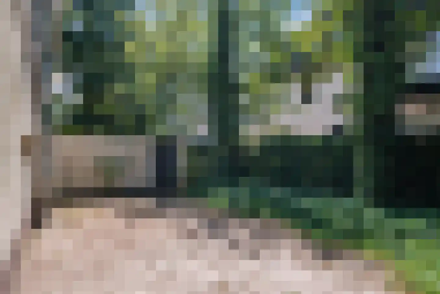 Burgemeester Verheugtstraat 49 Mierlo thumbnail 45