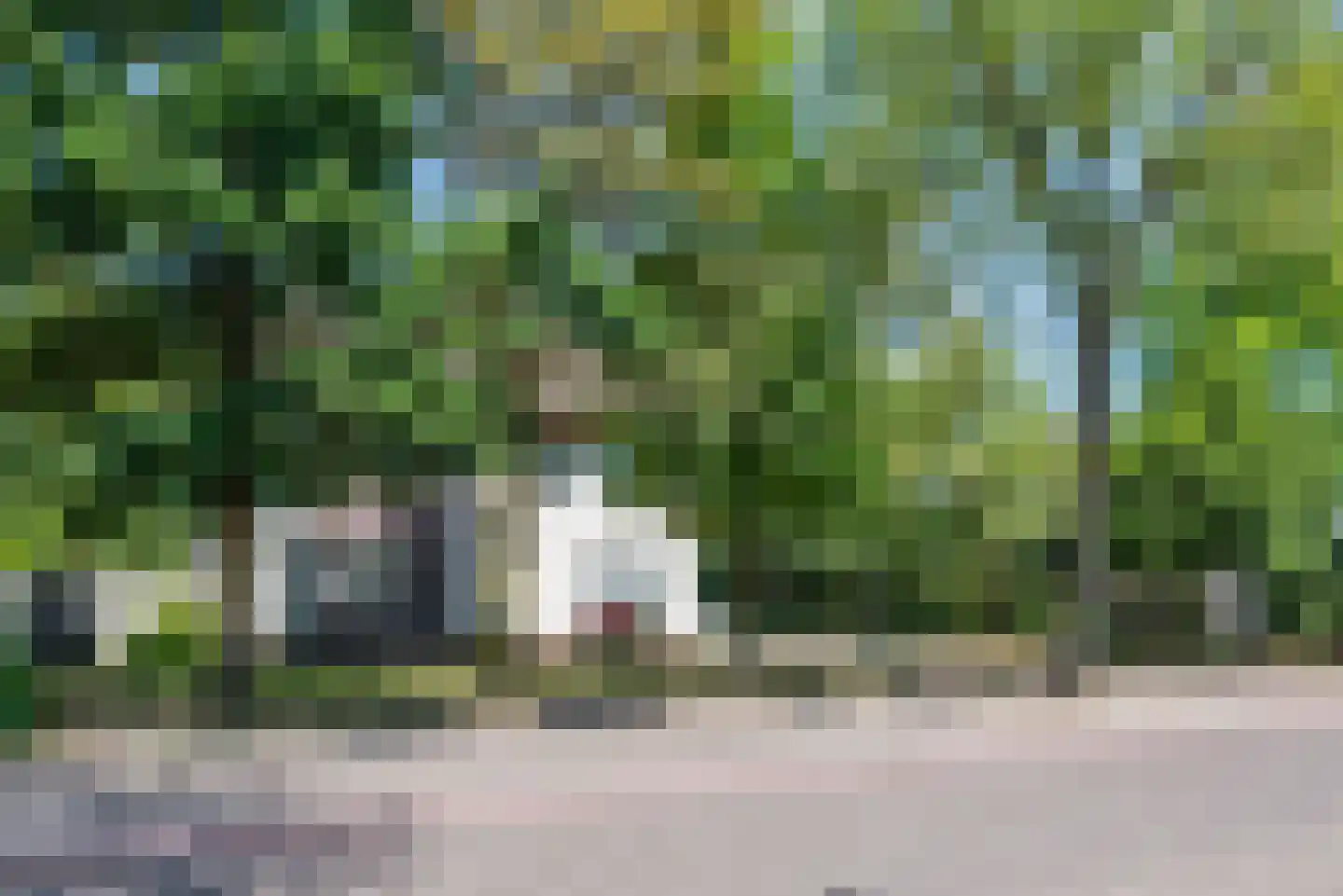 Burgemeester Verheugtstraat 49 Mierlo thumbnail 47