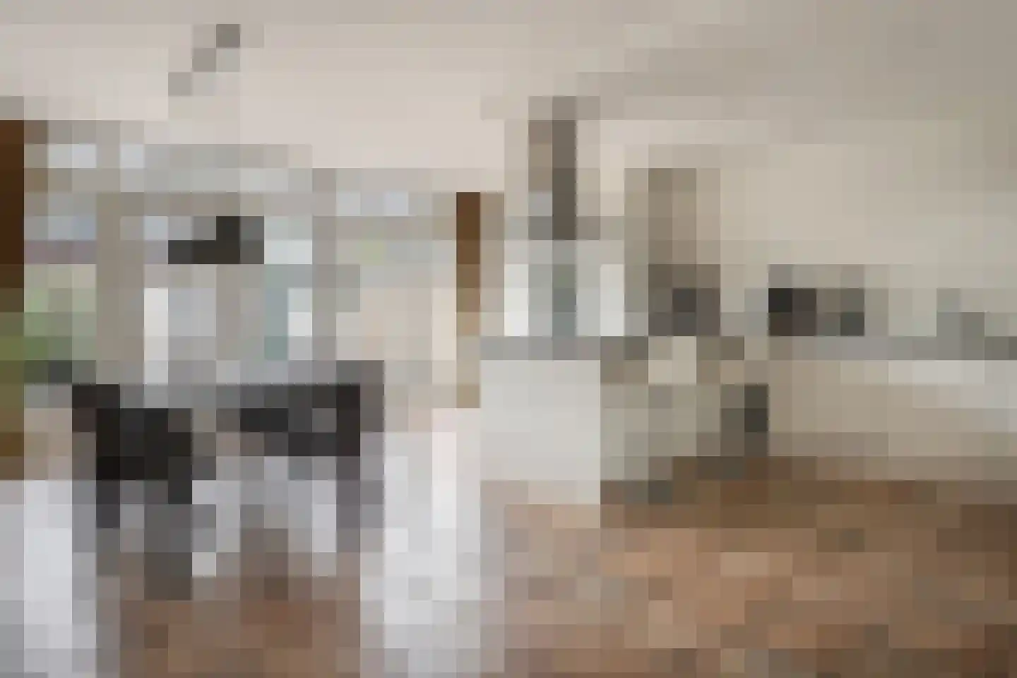 Burgemeester Verheullaan 16 Koudekerk aan den Rijn thumbnail 8
