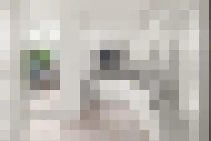 Burgemeester Verheullaan 21 Koudekerk aan den Rijn thumbnail 11