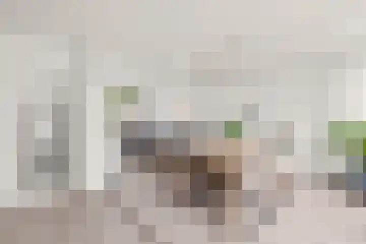 Burgemeester Verheullaan 21 Koudekerk aan den Rijn thumbnail 14