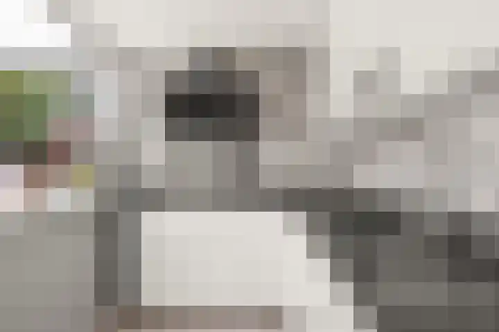 Burgemeester Verheullaan 21 Koudekerk aan den Rijn thumbnail 21