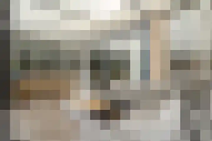 Burgemeester Verheullaan 21 Koudekerk aan den Rijn thumbnail 23