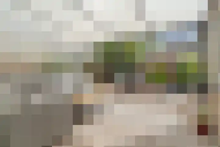 Burgemeester Verheullaan 21 Koudekerk aan den Rijn thumbnail 24