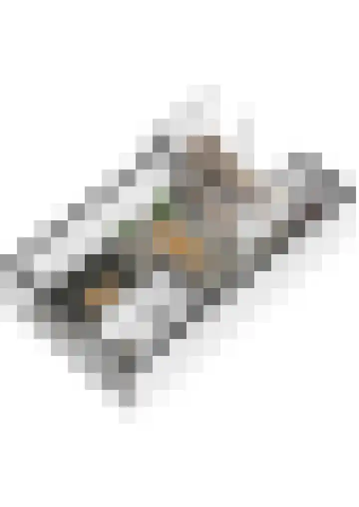 Burgemeester Verheullaan 21 Koudekerk aan den Rijn thumbnail 43
