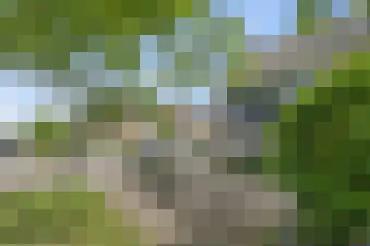 Burgemeester Verheullaan 21 Koudekerk aan den Rijn thumbnail 5