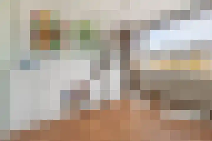 Burgemeester Verheullaan 31 Koudekerk aan den Rijn thumbnail 11
