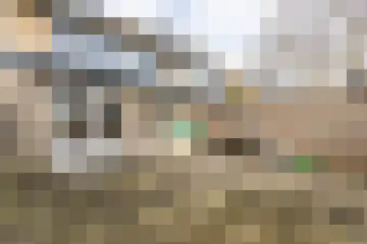 Burgemeester Verheullaan 31 Koudekerk aan den Rijn thumbnail 21