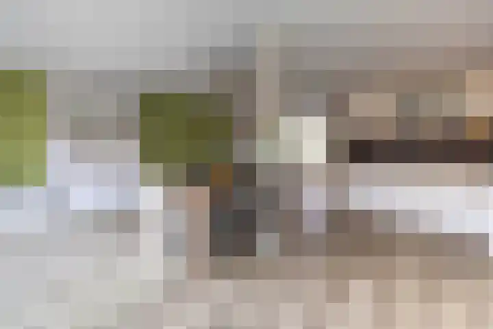 Burgemeester Verheullaan 31 Koudekerk aan den Rijn thumbnail 5