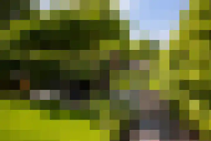 Burgemeester Verkadesingel 16 Vlaardingen thumbnail 32